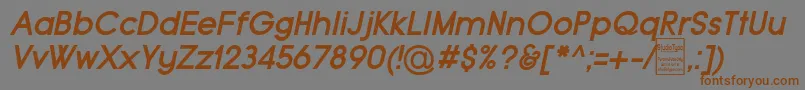 TypoGroteskBoldItalicDemo Font – Brown Fonts on Gray Background