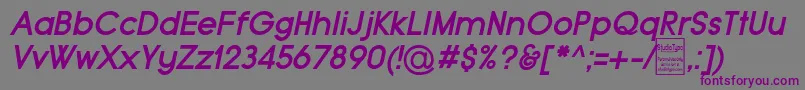 TypoGroteskBoldItalicDemo Font – Purple Fonts on Gray Background