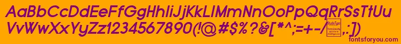TypoGroteskBoldItalicDemo Font – Purple Fonts on Orange Background