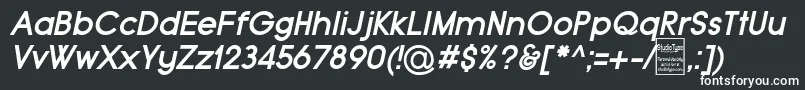 TypoGroteskBoldItalicDemo-fontti – valkoiset fontit mustalla taustalla