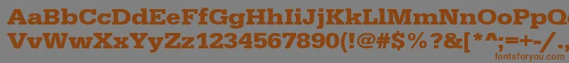 UrwegyptiennetextwidBold Font – Brown Fonts on Gray Background