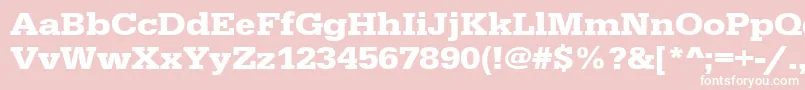 UrwegyptiennetextwidBold Font – White Fonts on Pink Background