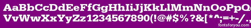 UrwegyptiennetextwidBold Font – White Fonts on Purple Background