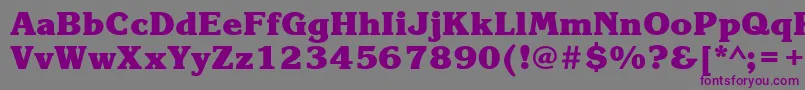 KorinnablackattBold Font – Purple Fonts on Gray Background