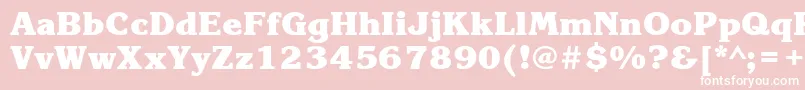 KorinnablackattBold Font – White Fonts on Pink Background