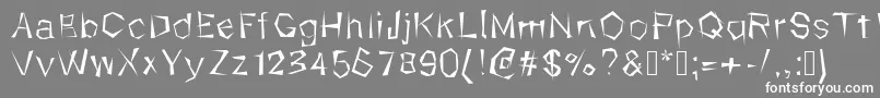 Kungfool-Schriftart – Weiße Schriften auf grauem Hintergrund