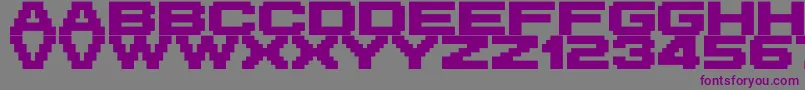 フォントM42 – 紫色のフォント、灰色の背景