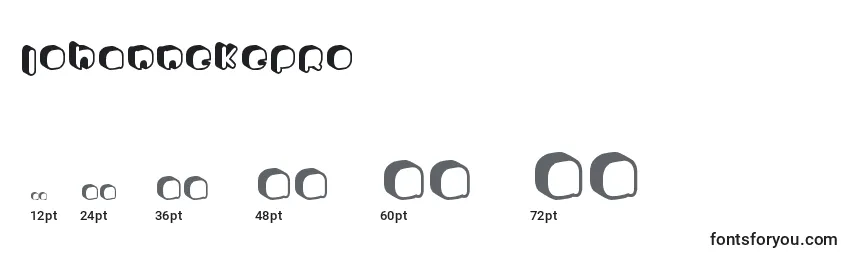 JohannekePro Font Sizes