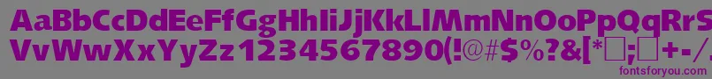 フォントLansettesskRegular – 紫色のフォント、灰色の背景