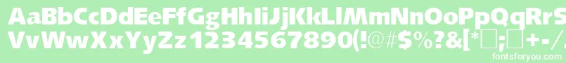 LansettesskRegular Font – White Fonts on Green Background