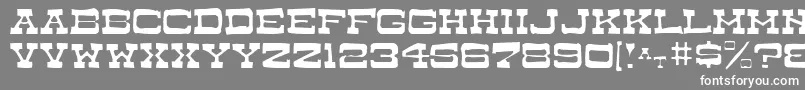 DryGoodsAntiqueJl Font – White Fonts on Gray Background