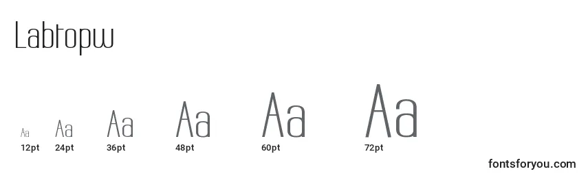 Размеры шрифта Labtopw