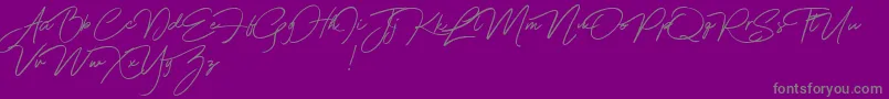 Franciscodemo-Schriftart – Graue Schriften auf violettem Hintergrund