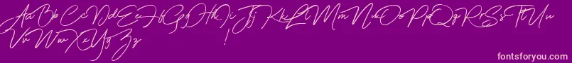 Franciscodemo Font – Pink Fonts on Purple Background