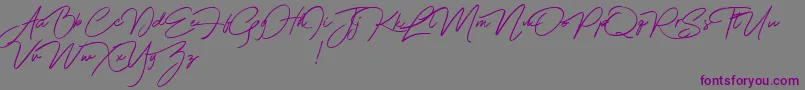 Franciscodemo Font – Purple Fonts on Gray Background
