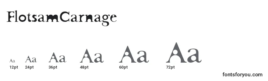 Размеры шрифта FlotsamCarnage