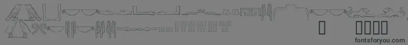 Ancientegyptianhieroglyphs Font – Black Fonts on Gray Background