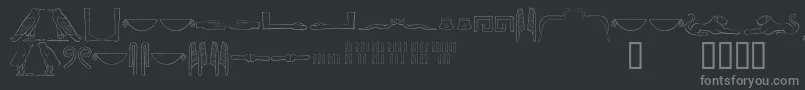 Ancientegyptianhieroglyphs Font – Gray Fonts on Black Background