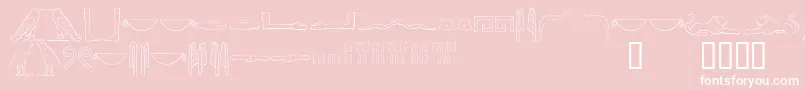 Ancientegyptianhieroglyphs Font – White Fonts on Pink Background