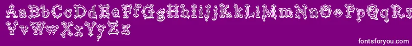 VtksBlackLabel Font – White Fonts on Purple Background