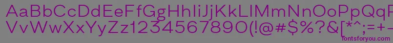 AsketExtendedLight Font – Purple Fonts on Gray Background