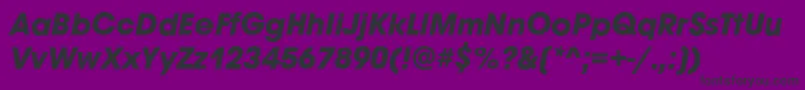 AvignonBoldItalic Font – Black Fonts on Purple Background