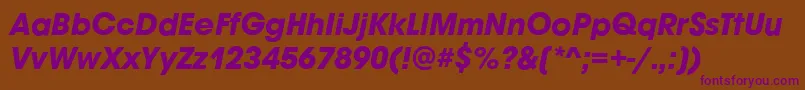 AvignonBoldItalic-fontti – violetit fontit ruskealla taustalla