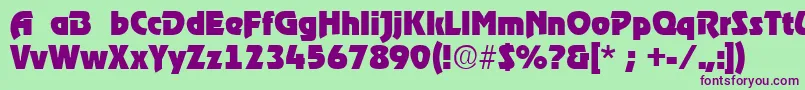 RoostRegular Font – Purple Fonts on Green Background