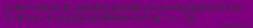 Backbod Font – Black Fonts on Purple Background