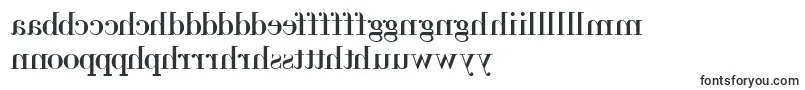 Backbod Font – Welsh Fonts