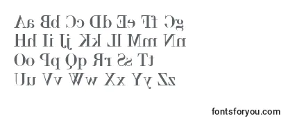 Backbod Font
