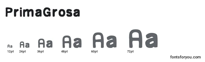 Размеры шрифта PrimaGrosa