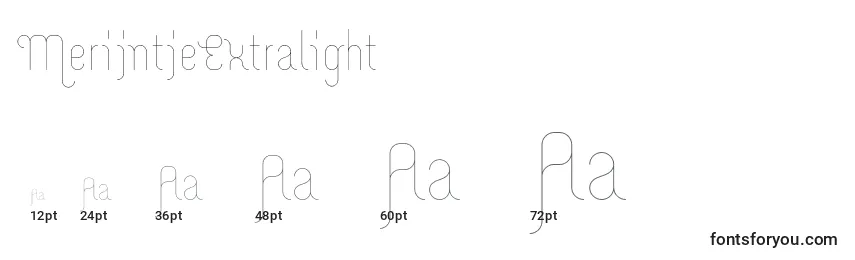 MerijntjeExtralight Font Sizes