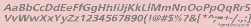 Budboyerextobl Font – Gray Fonts on Pink Background