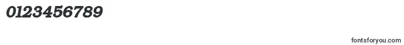 ErBukinistKoi8BoldItalic Font – Fonts for Numbers and Digits