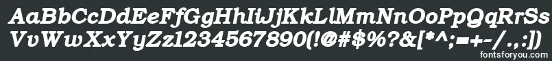 ErBukinistKoi8BoldItalic-fontti – valkoiset fontit mustalla taustalla