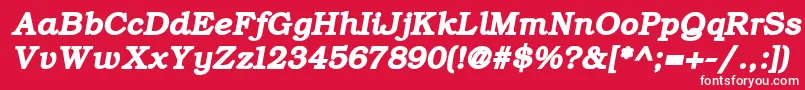 ErBukinistKoi8BoldItalic Font – White Fonts on Red Background