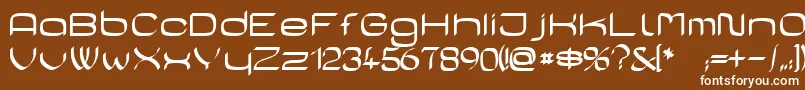 フォントCasaSans – 茶色の背景に白い文字