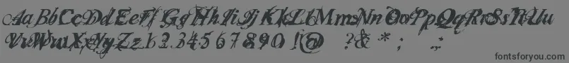 Infiltri-Schriftart – Schwarze Schriften auf grauem Hintergrund