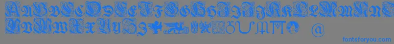 Wieynkfrakturinitialen Font – Blue Fonts on Gray Background