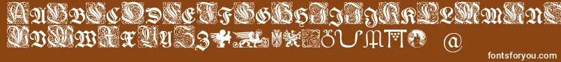 Wieynkfrakturinitialen Font – White Fonts on Brown Background