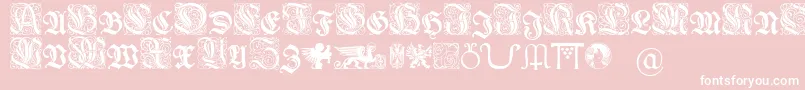 Wieynkfrakturinitialen Font – White Fonts on Pink Background