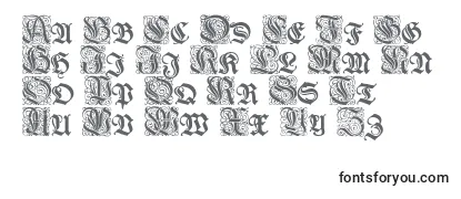 Wieynkfrakturinitialen Font