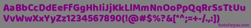 BalooRegular Font – Purple Fonts on Gray Background