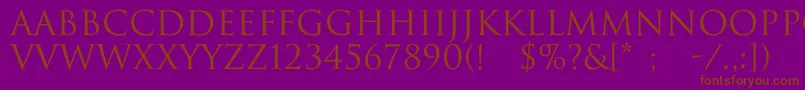 Police ImperiumNormal – polices brunes sur fond violet