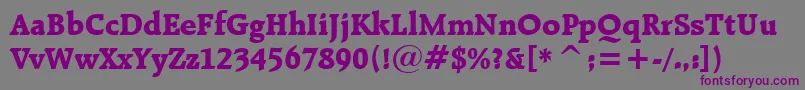 RaleighExtraBoldBt Font – Purple Fonts on Gray Background