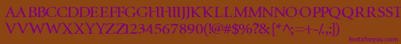 InfraredBold Font – Purple Fonts on Brown Background
