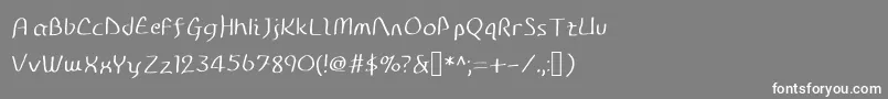 フォントDiscoGrudgeStrokedWindowMedium – 灰色の背景に白い文字