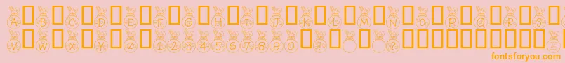 Rmbunny Font – Orange Fonts on Pink Background