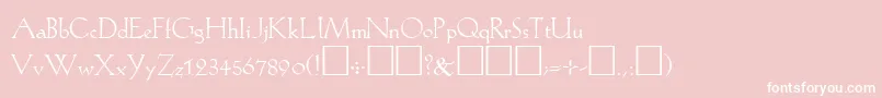 KochPlain Font – White Fonts on Pink Background